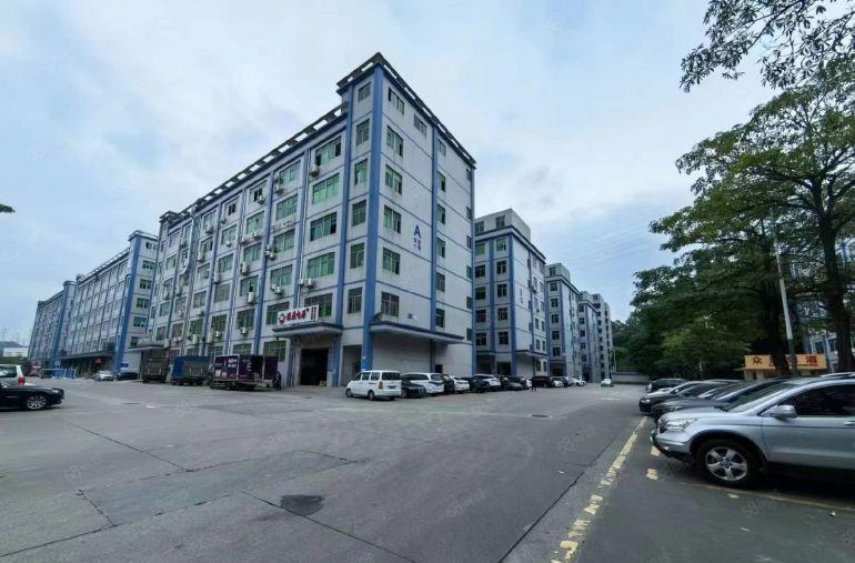 坂田上雪原房东200平带装修办公仓库一体低价出租