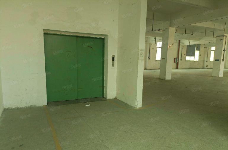 龙岗坪地原房东独院标准厂房4500平园区形象好空地大