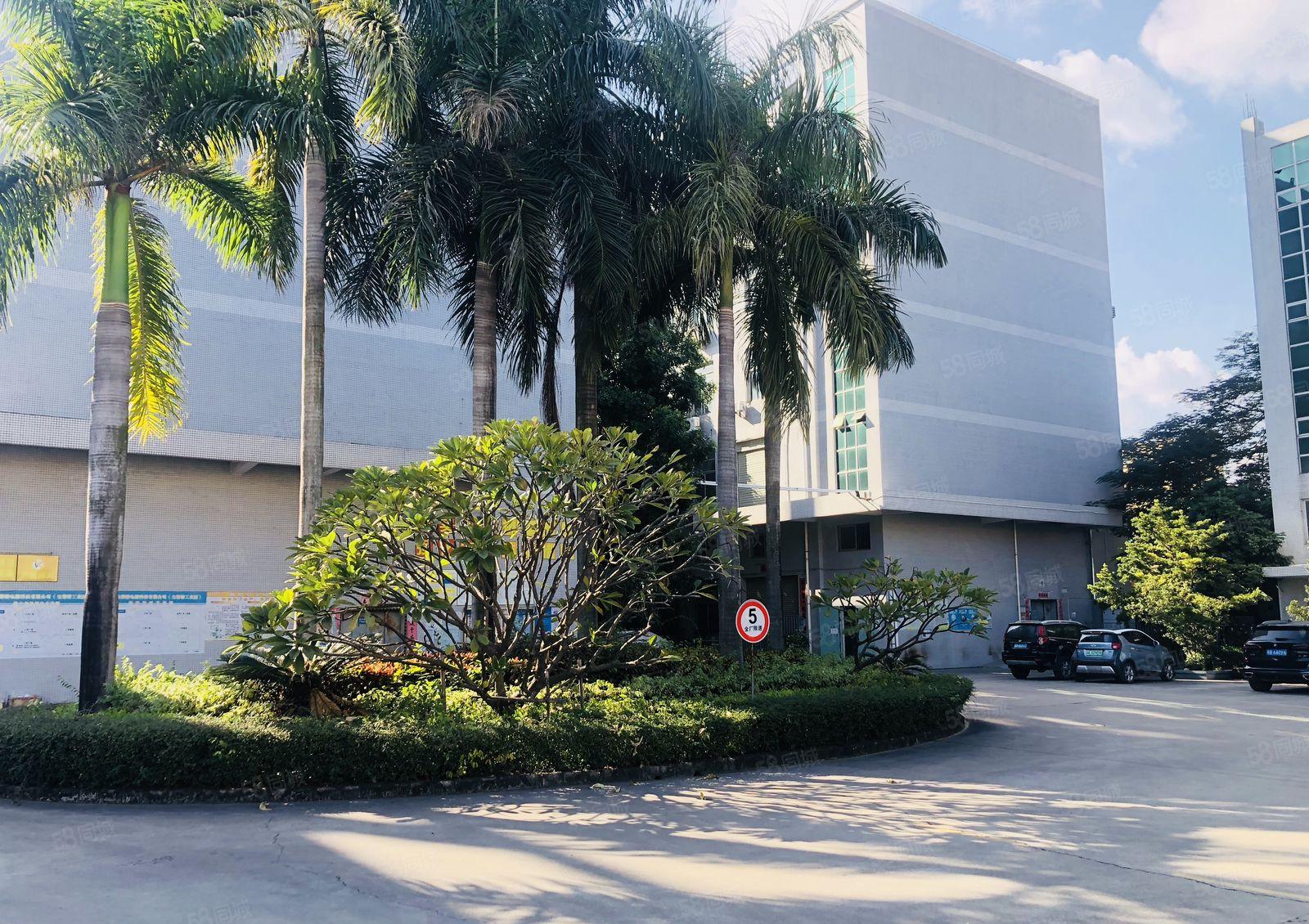 17元起出租 龙岗同乐九九同心工业区楼上500平仓库厂房招租