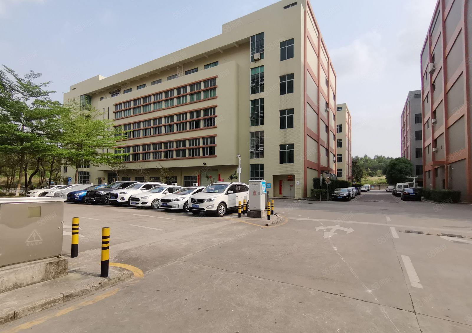 12米层高！横岗六约新出红本独院厂房仓库3万平可分租