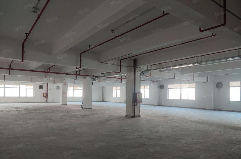 龙岗爱南路沈海高速龙岗出口厂房直租60平1393平