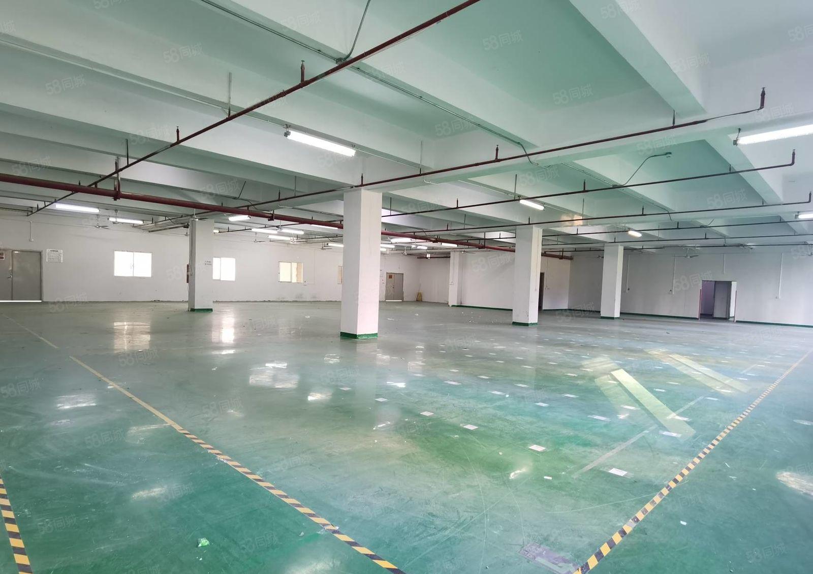 坂田水电齐全1000平厂房出租隔好办公室园区形象好主干道旁