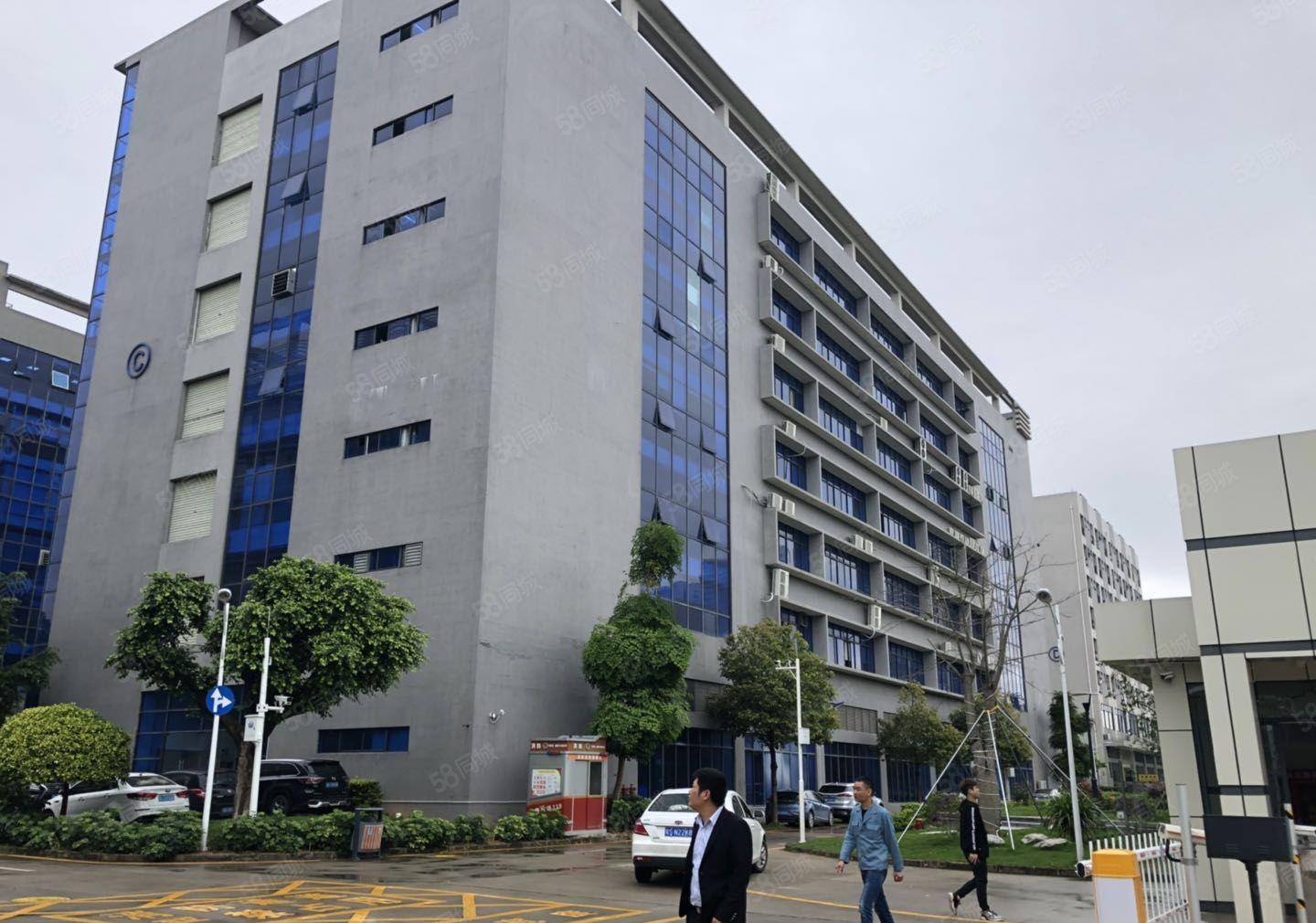 南联原房东大型科技园新出楼上800平消防喷淋办公仓库厂房出租