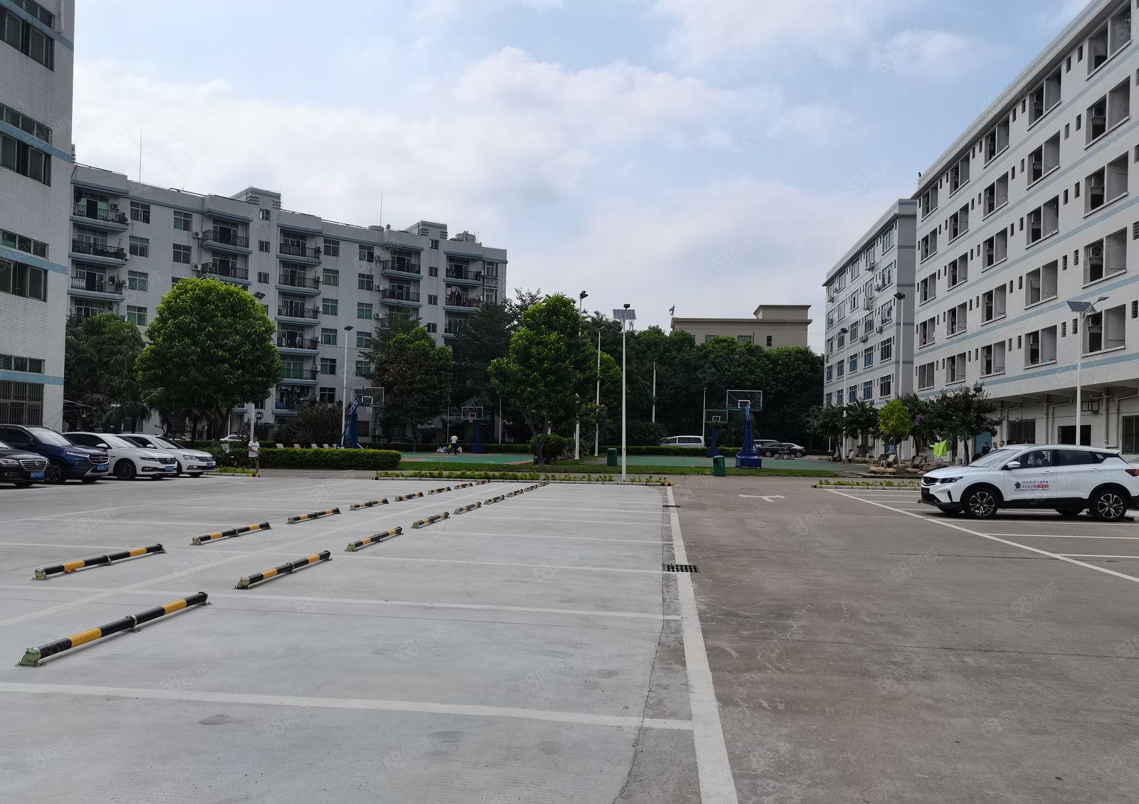 龙岗嶂背原房东独院2300平带前台和精装修办公出租厂房可分租