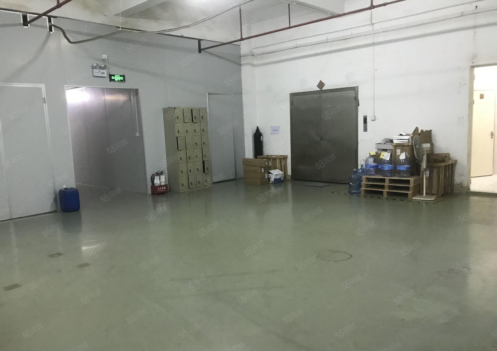 分租或转让无尘车间厂房580平（龙岗宝龙）
