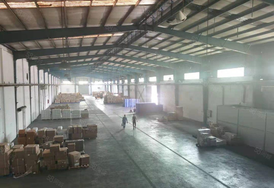 龙岗深汕路附近1000平起租全新钢构厂房出租报价26滴水7米