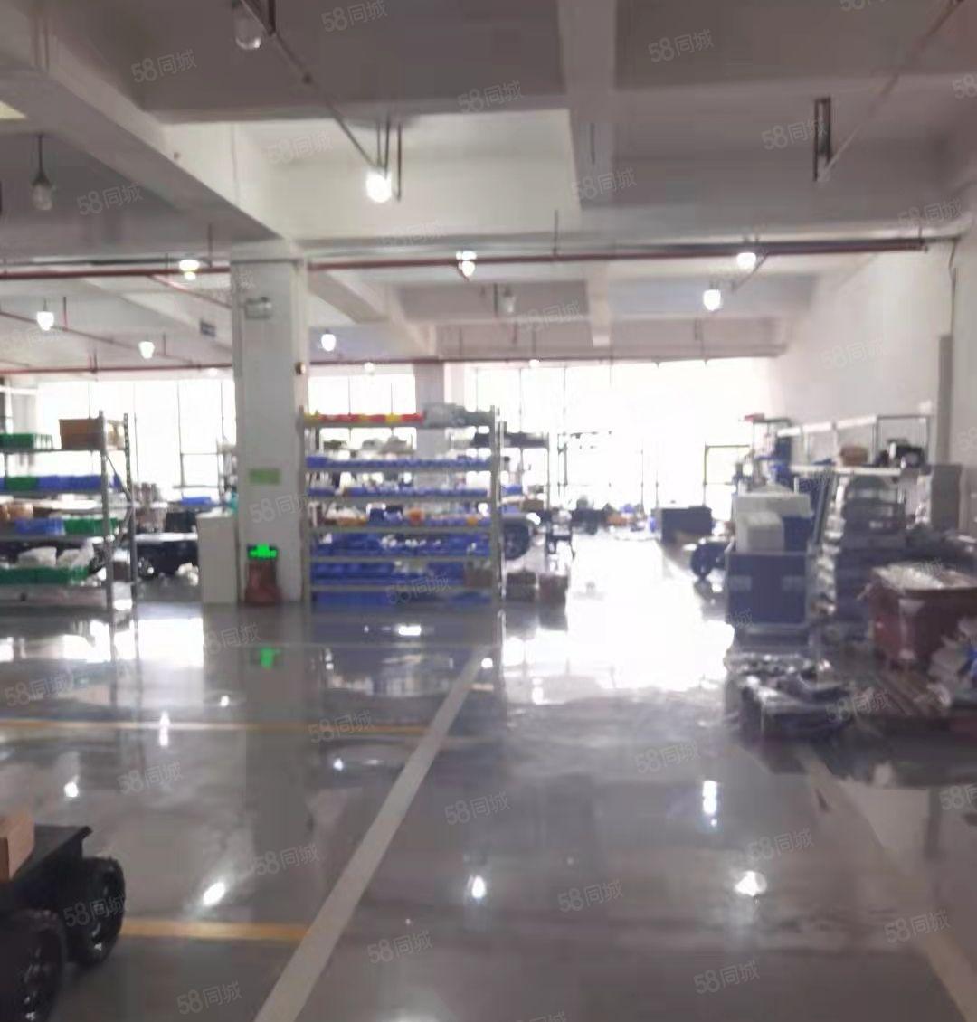 形象好！坂田地铁站单层1980平研发厂房办公电商仓库出租分租