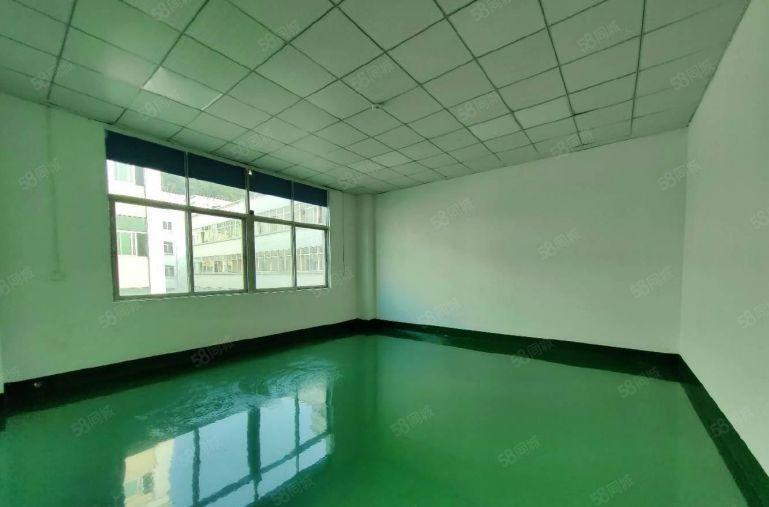 特价宝龙原房东大型科技园新空出楼上2000平方，可分租精装修