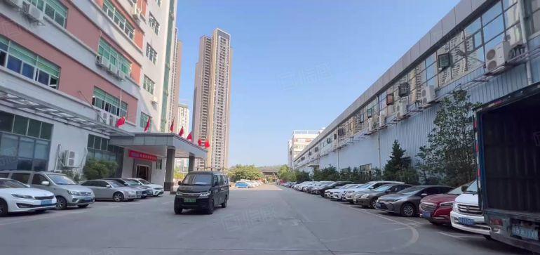 分租平湖良安田独门独院厂房1380平出租带地坪漆空地大好招工