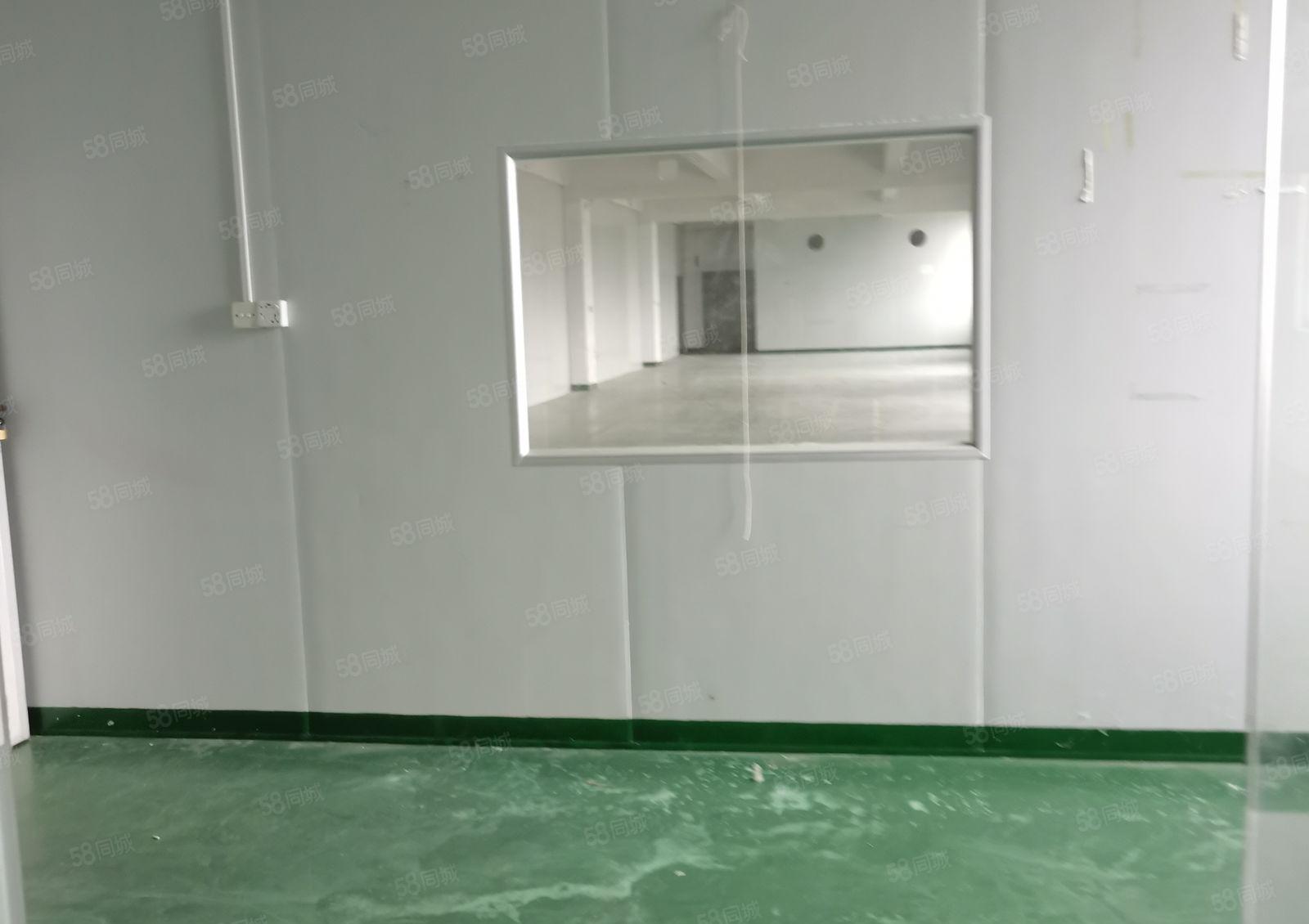 横岗安良3800平方独门独院出租空地大