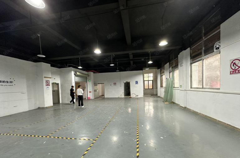 低价15元龙岗主干道园区1500平厂房仓库出租500平起分租