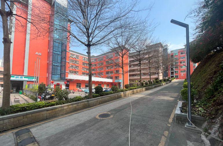 横岗荷坳双地铁口原房东工业园区300平起分租，花园式厂