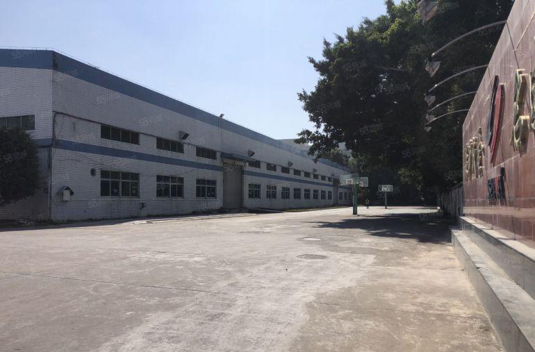 宝龙新出红本独栋钢构3000平方，滴水9米，中间无柱子空地大