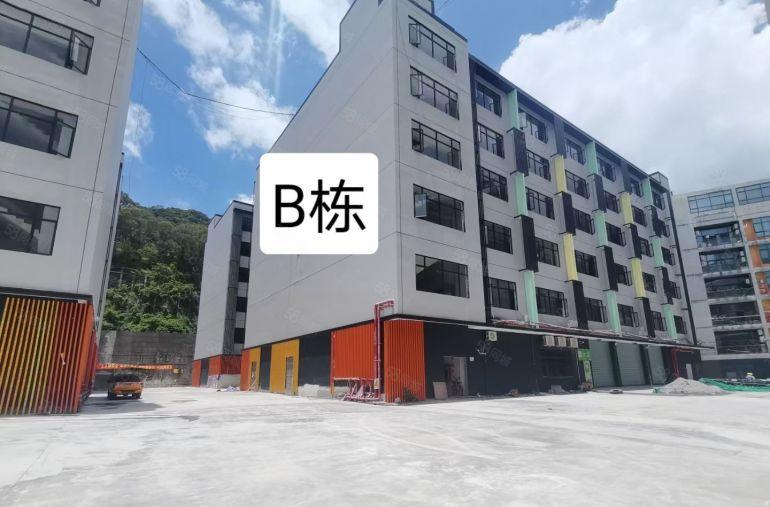 (出租)19元租龙岗南湾精装修带办公室仓库厂房出租300平起