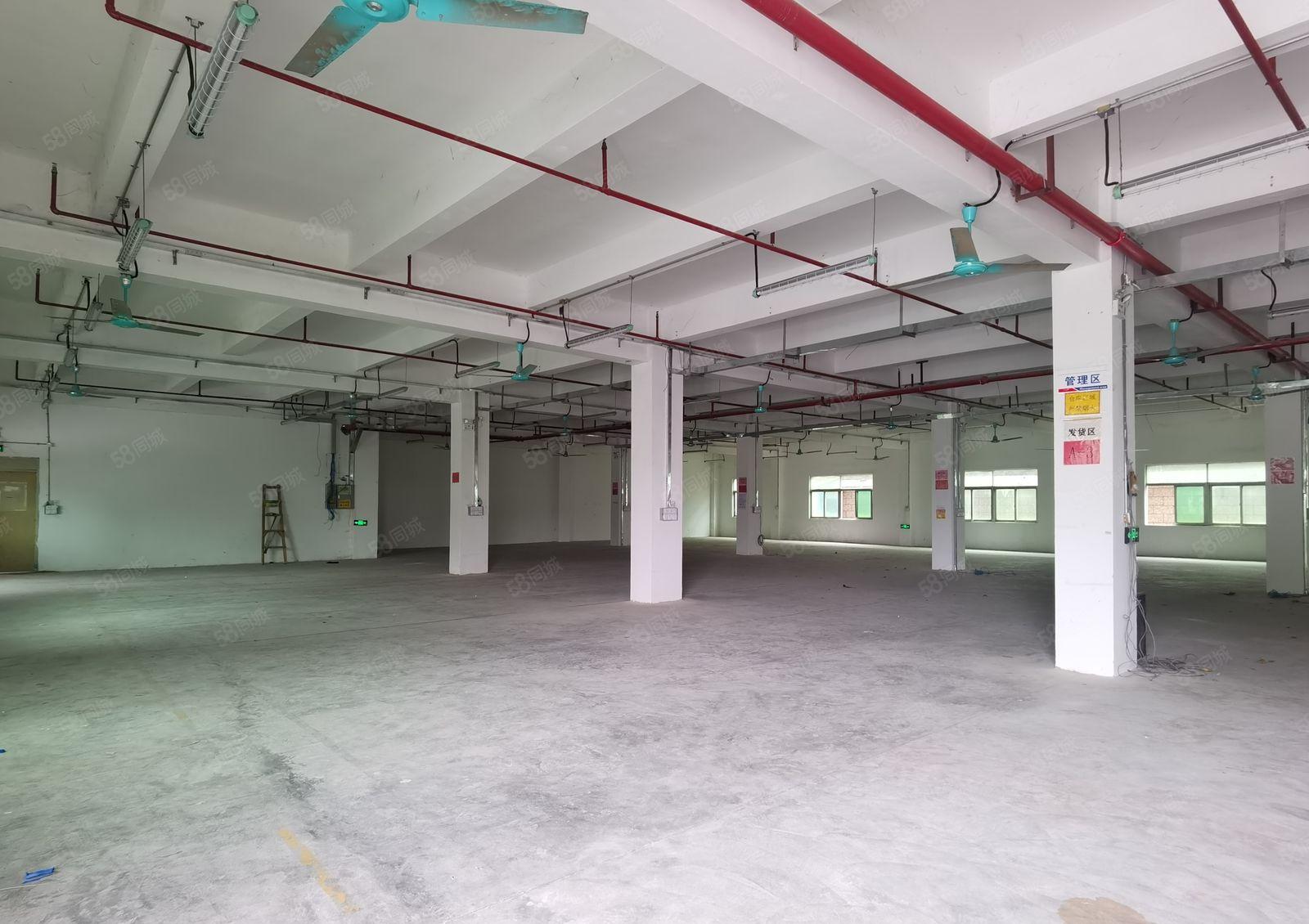 独栋起分租！带喷淋！带红本！横岗独门独院厂房23000平出租