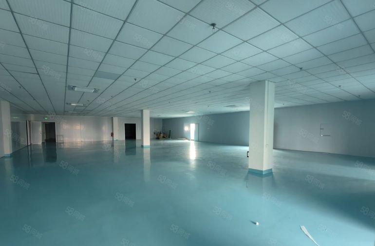 龙岗平湖工业园980平一楼厂房仓库出租带牛角可进大车空地大