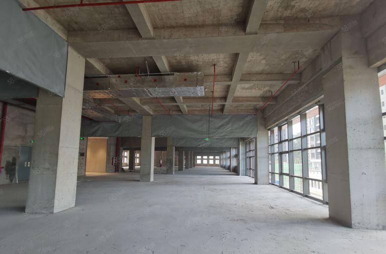 龙岗园山阿波罗生物医药先行区新型厂房500平起租 地铁直通