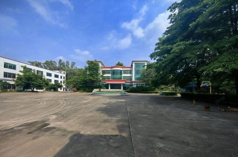 宝龙工业园原房东红本独门独院8000平方厂房仓库出租大小可分