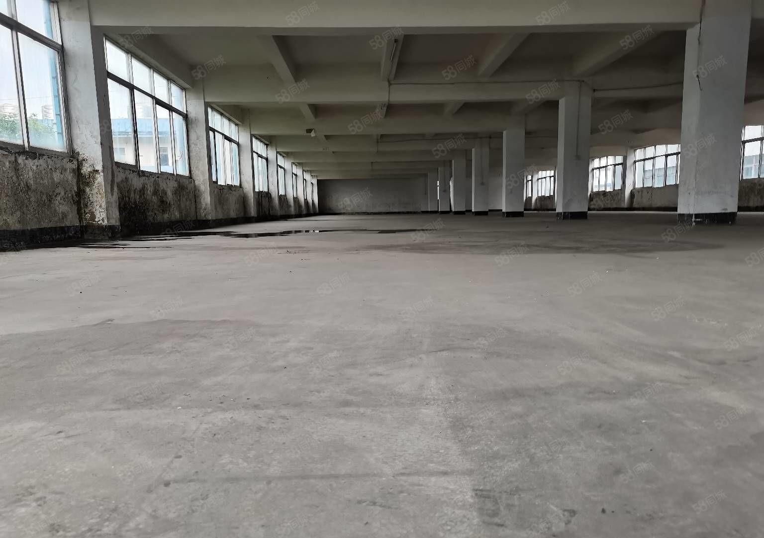 深圳市龙岗区龙东原房东厂房出租交通便利周边设施齐全大小可分租