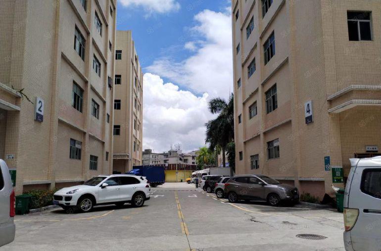 低价坂田贝尔路200平300平500平包装修仓库办公出租