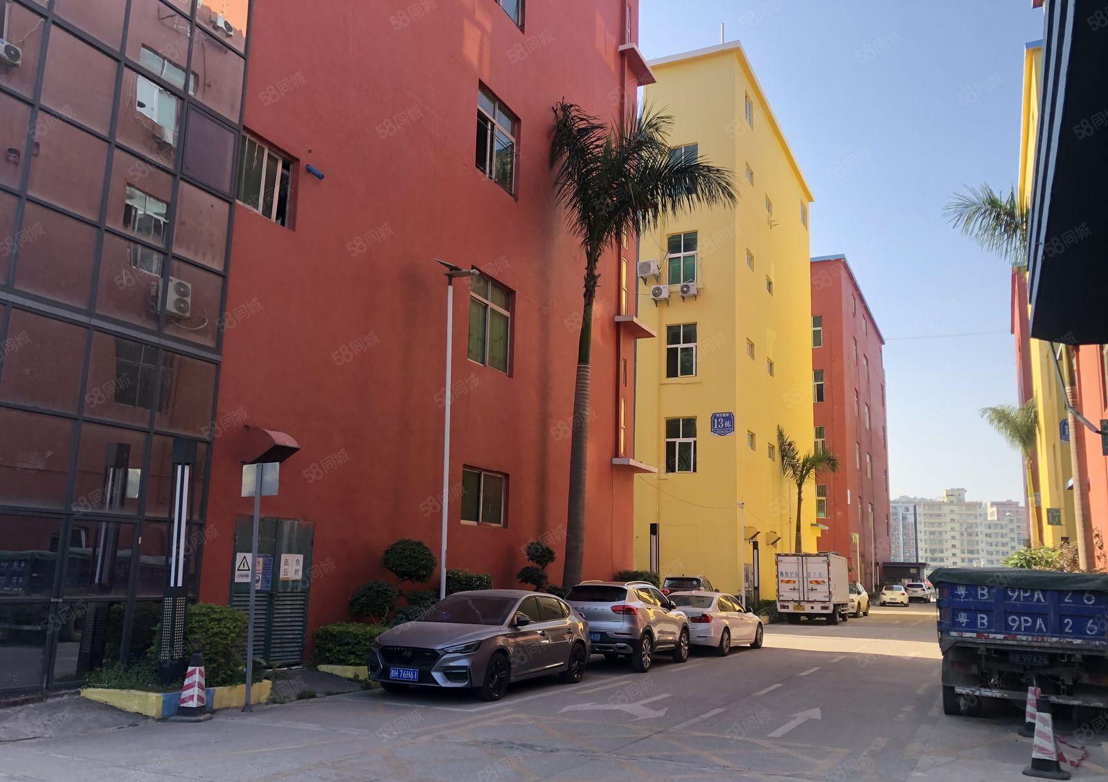 横岗地铁口电商园新出房源280平精装办公仓库招租