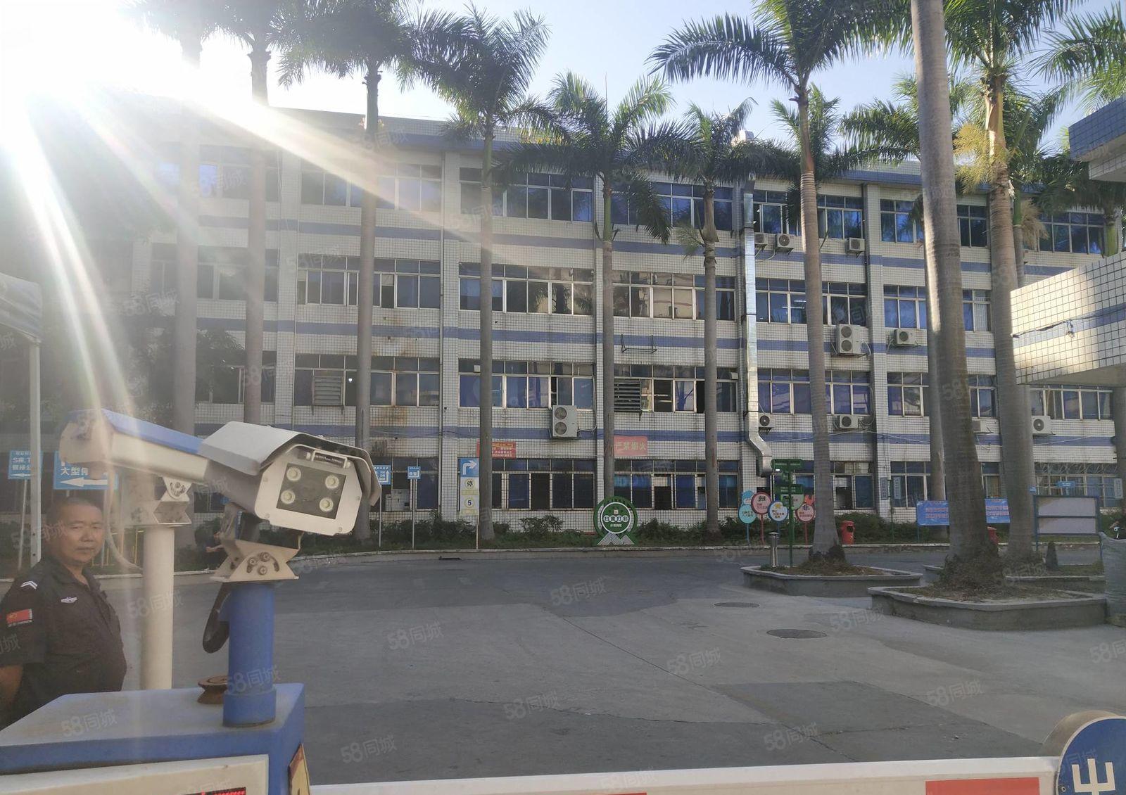 坂田原房东上雪工业园直租办公仓库厂房出租1000平可整租分租