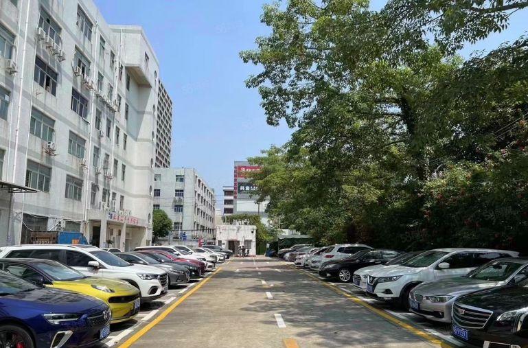 横岗六约六和路310平米现成装修珠宝厂房出租