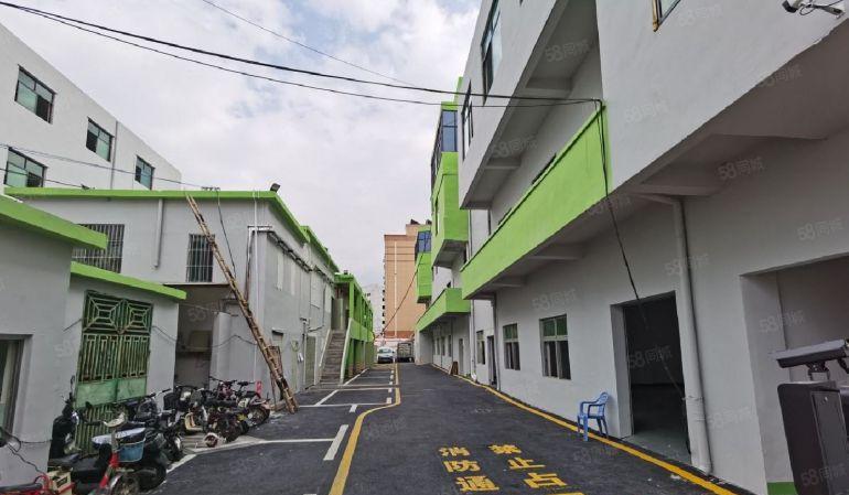 塘坑地铁站全新装修240平厂房