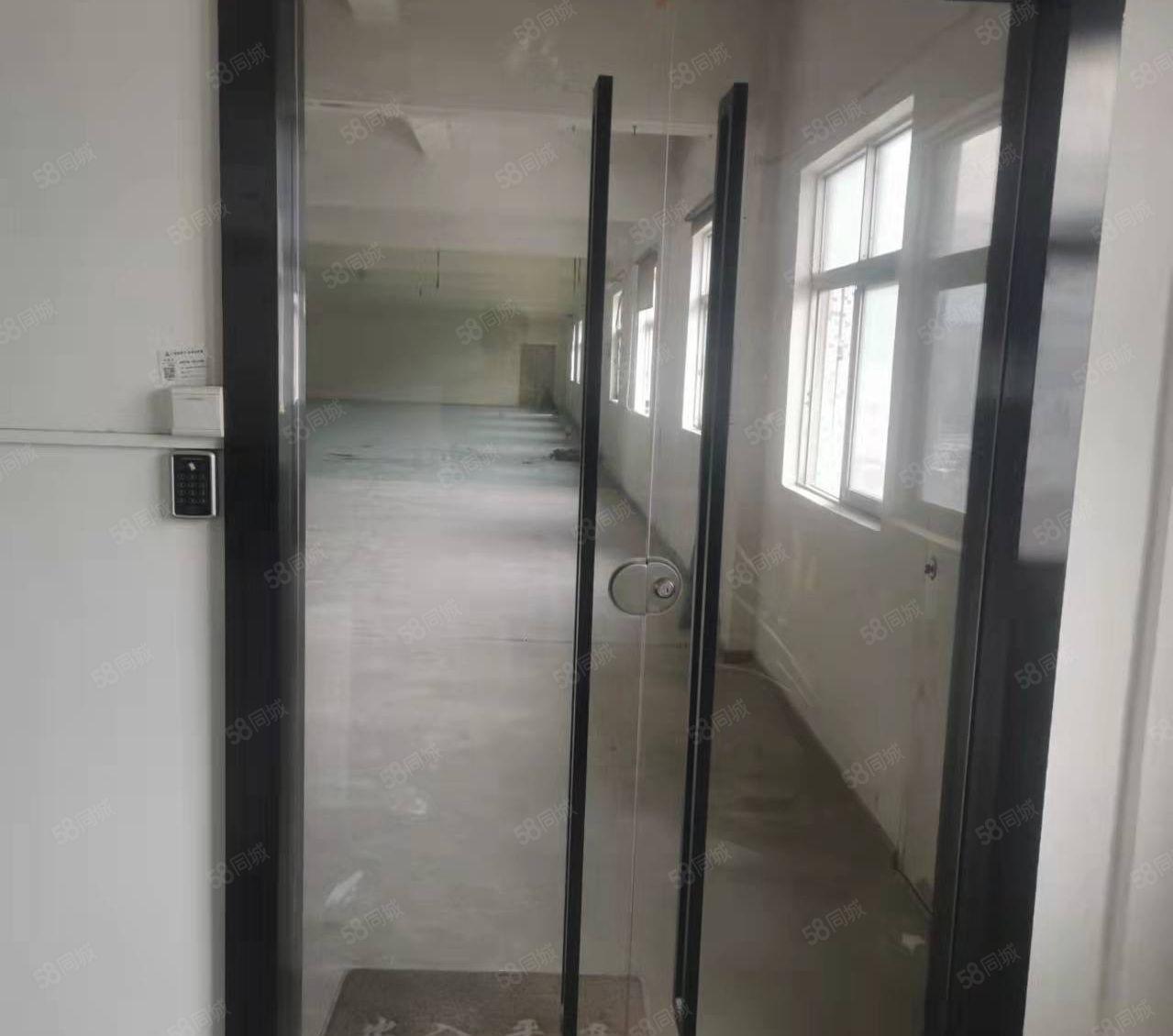 西坑独院厂房出租大小分租