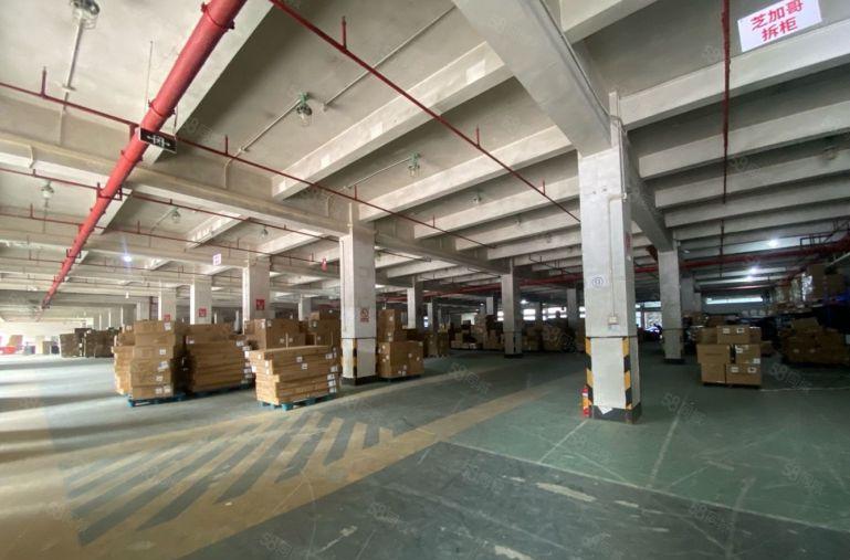 坂田物流仓库厂房出租2000平大小可分300起