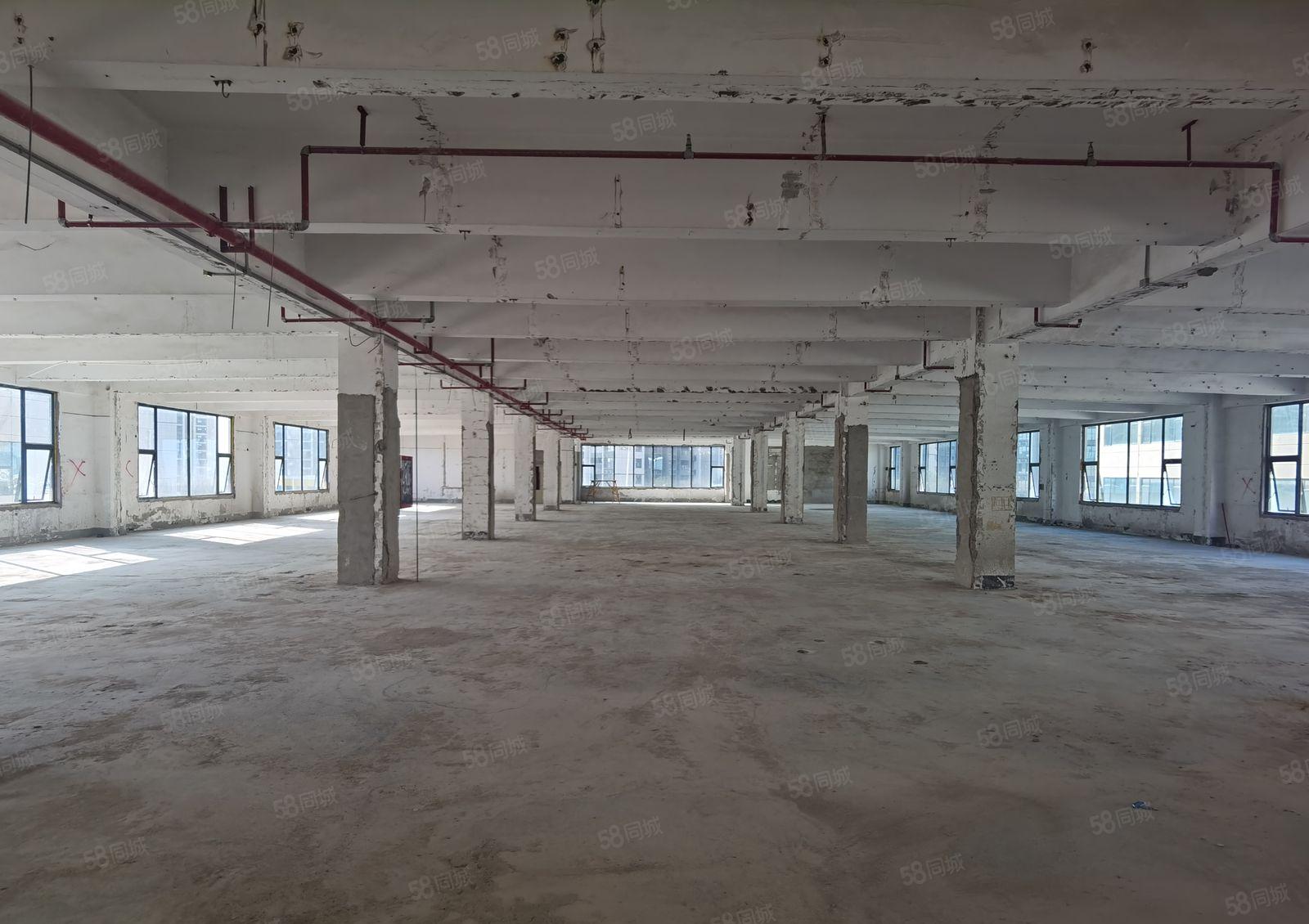 横岗原房东大型园8000平方米独院厂房出租600平方米起分租