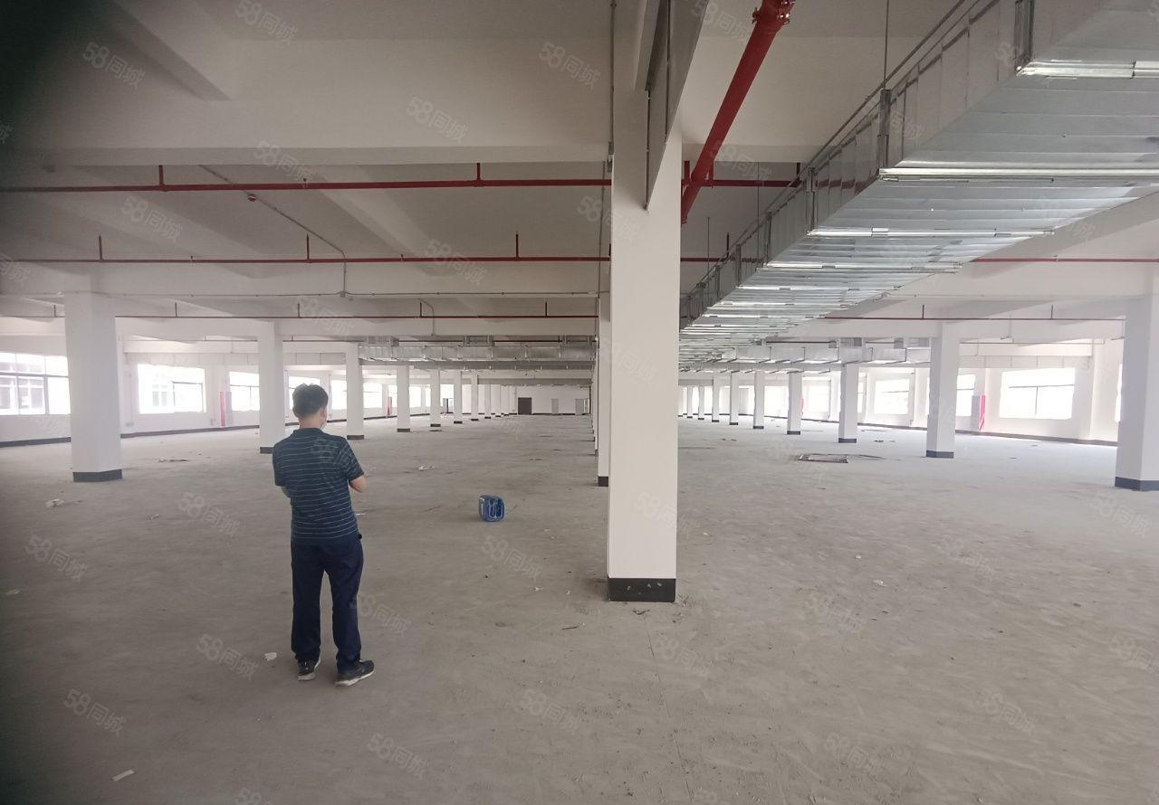 龙岗南联原房东9600平厂房仓库出租，距离地铁站八百米