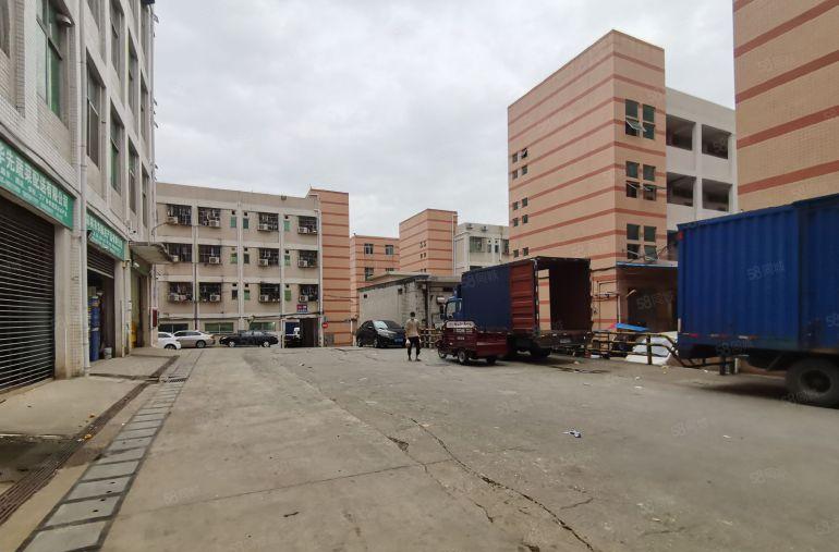 出租平湖白泥坑海吉星1600平标准厂房出租仓库招租