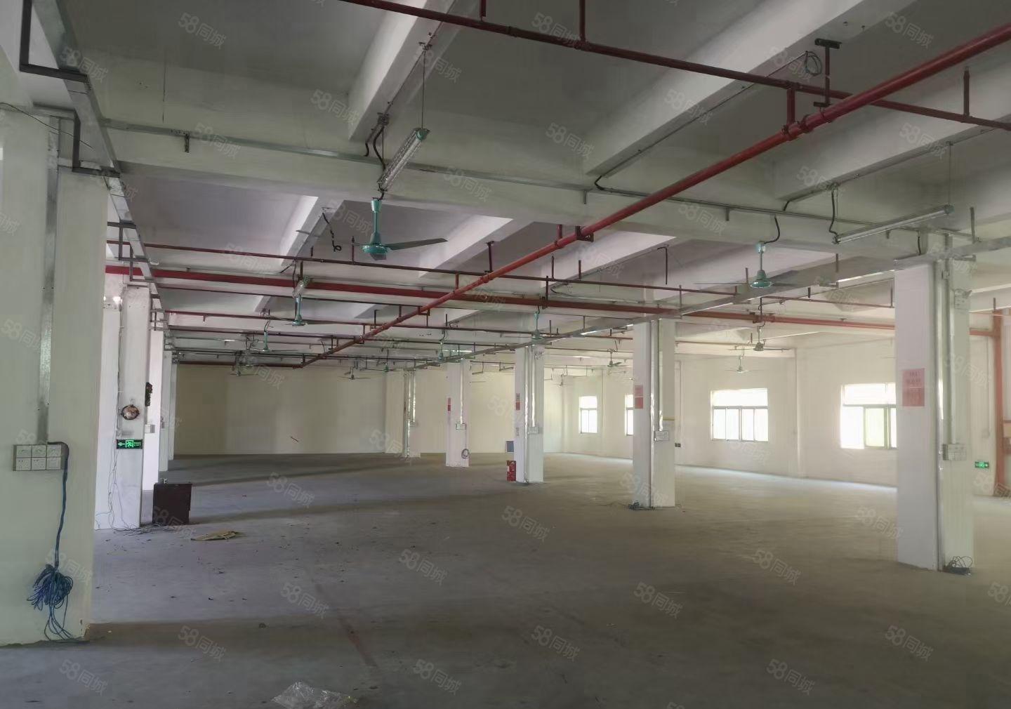 L龙岗宝龙科技园13元1600平出租，可分租