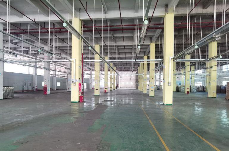 深圳横岗6000平方8米高一楼标准厂房出租带卸货平台可分租。