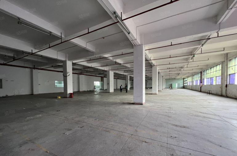 平湖华南城原房东一楼厂房1500平方出租带卸货平台拖头车随进