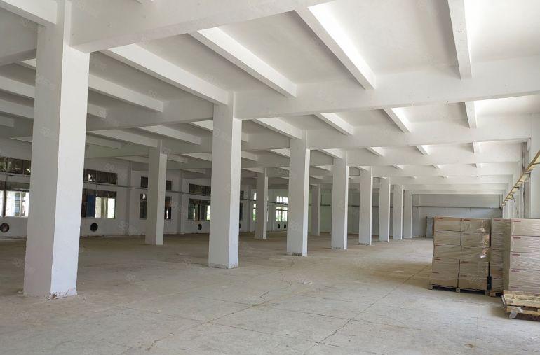 龙岗同乐工业区8000平原房东独院实际面积厂房出租500平起