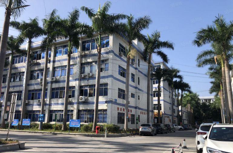 笋盘原房东带红本南联科技园新出300平精装修办公仓库厂房出租