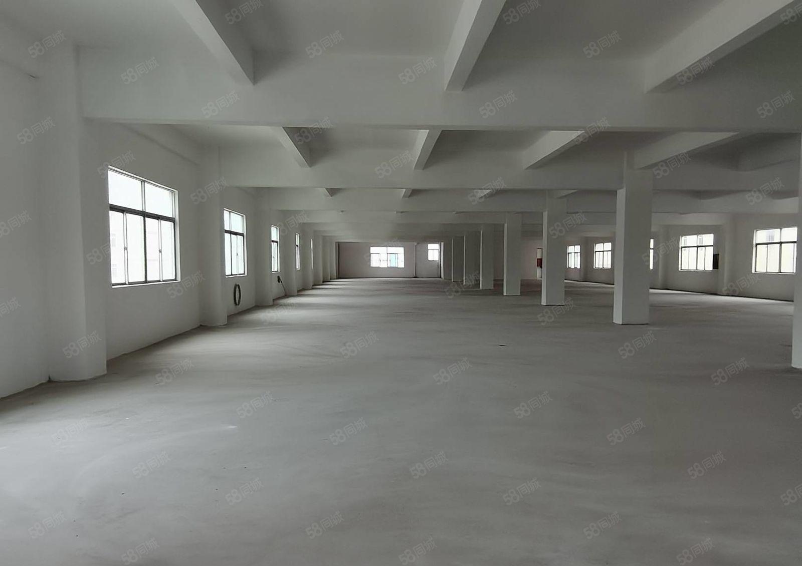 深圳市龙岗区同乐原房东独门独院厂房出租交通便利周边设施齐全