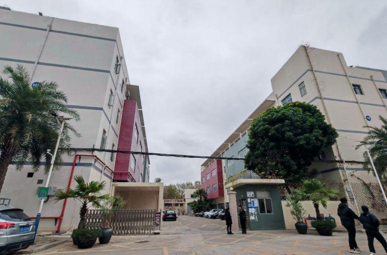 20块！精装1000平坂田地铁口附近花园式厂房出租.可分租