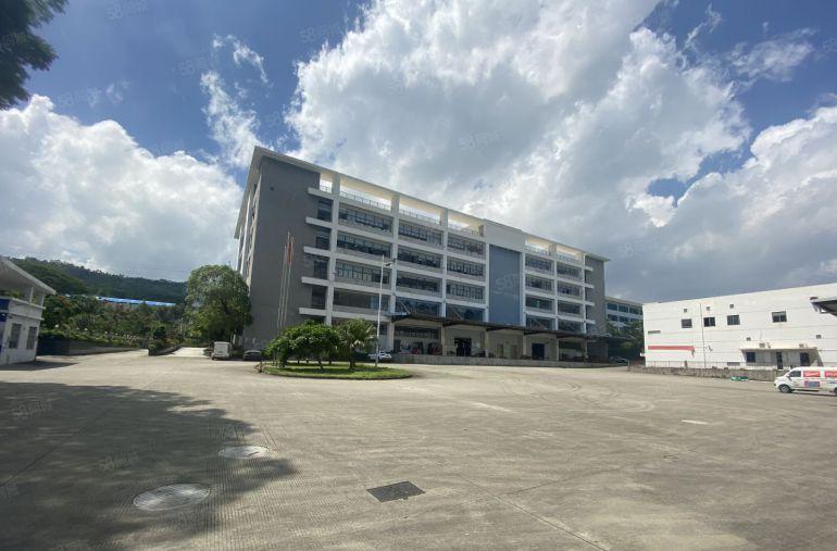 层高6米300平起带红本宝龙科技园3000平一楼仓库厂房出租