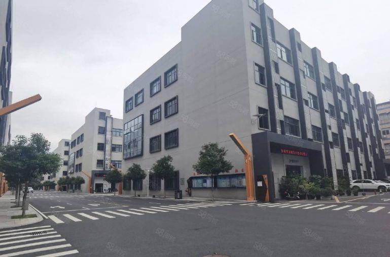 （出田）坂田电商创意园800平房东直租！园区带补贴