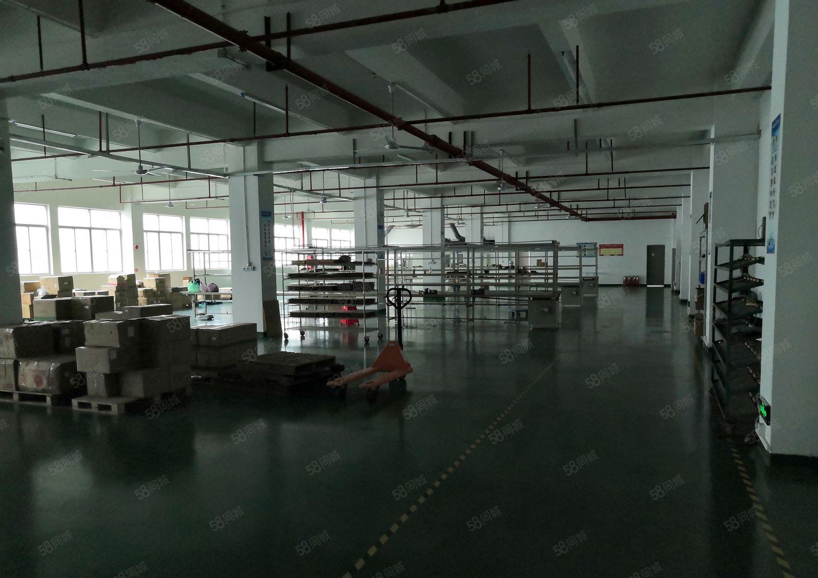 坪地低磷城红本厂房一楼1600平方米楼上1000平方米分租