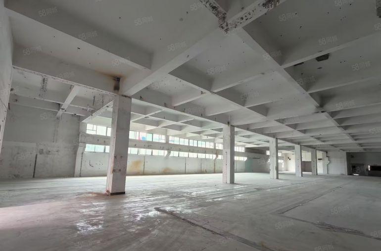 龙岗宝龙义乌2000平方厂房仓库业主直租