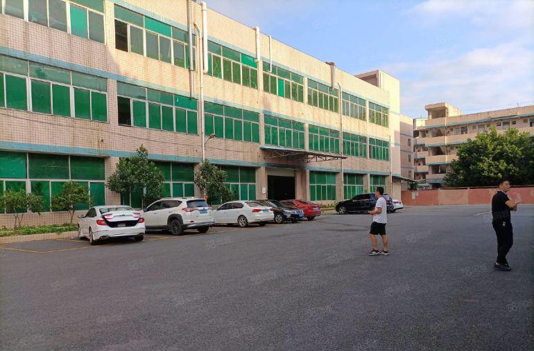 平湖独院新出一楼2100平方厂房仓库出租可分租空地大交通方便