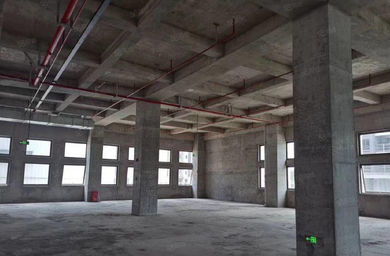 龙岗园山阿波罗生物医药先行区新型厂房500平起租 地铁直通