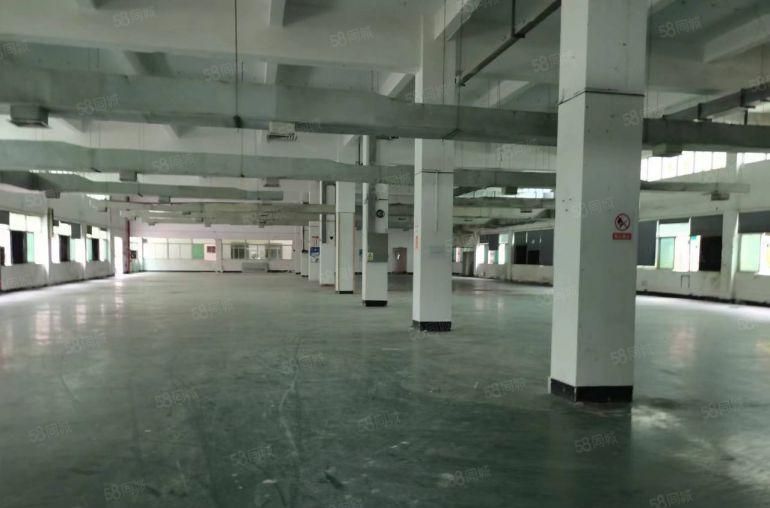 龙岗原房东12元起低价厂房仓库一楼楼上2000平200平分租