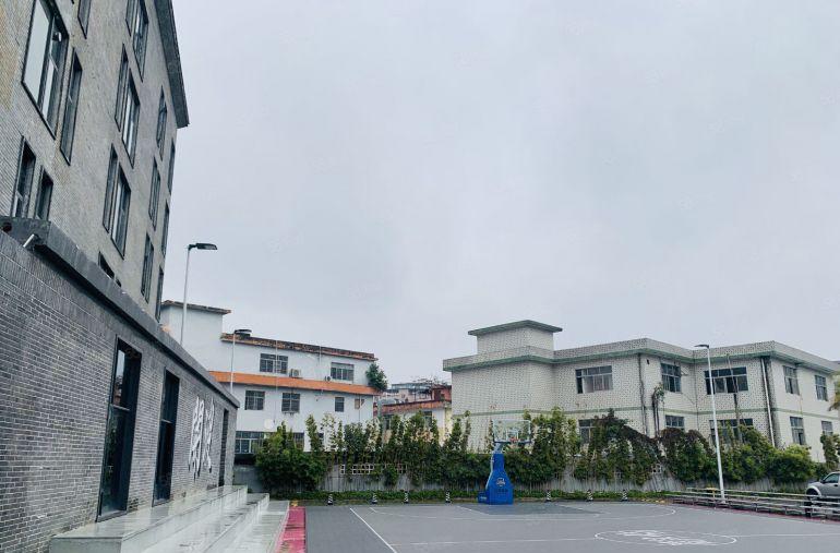 企业办公龙岗大运现成精装修500平低价仓库出租一楼100起租