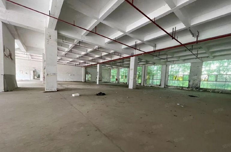 原房东直租15元特价独门独院地铁口可分租全新空地大