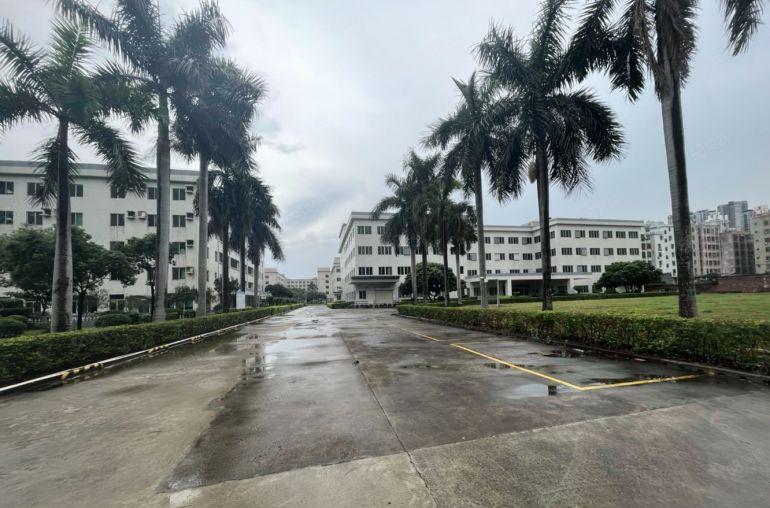 龙岗原房实际面积出租18元厂房26000平方200平方起分租